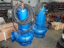 大型WQ系列排污泵维修