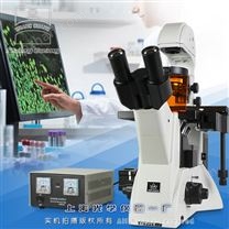倒置荧光显微镜 XSP-63XDV