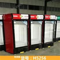 蔬菜冷藏柜 饮料冷藏柜 标本冷藏柜货号H5256