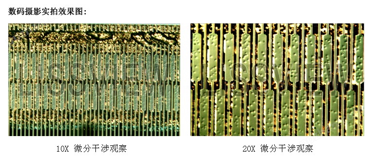 MDIC-100微分干涉数码显微镜