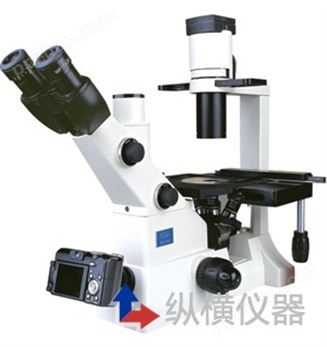 XD-202生物显微镜