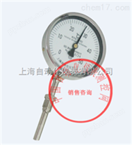WSS-551双金属温度计上海自动化仪表