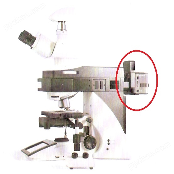 荧光显微镜和LED灯
