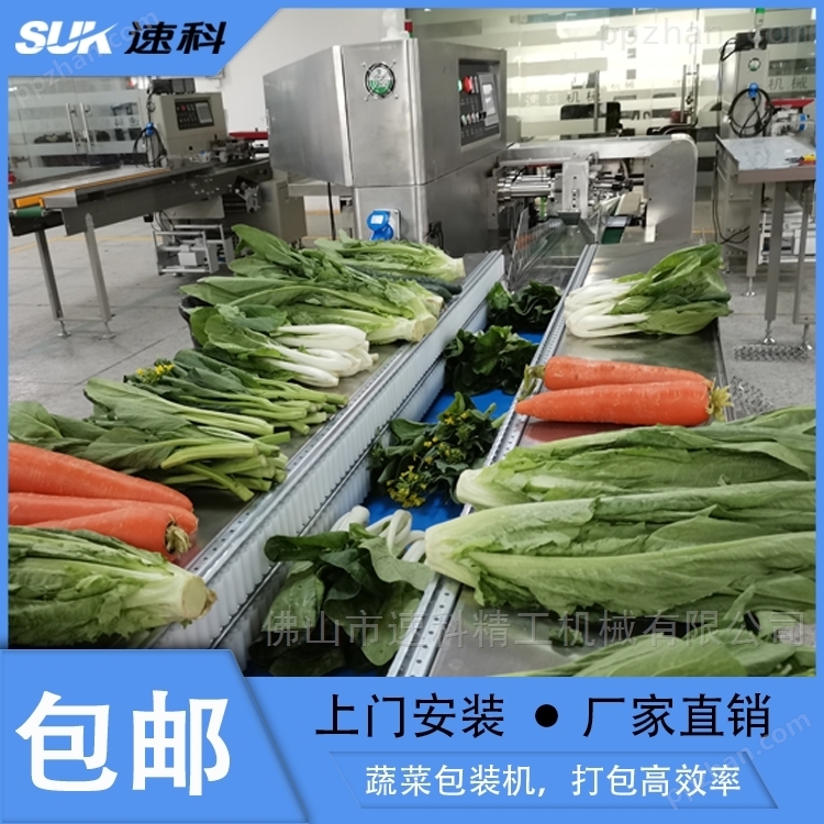 速科SK-600XD三伺服全自动蔬菜水果包装机
