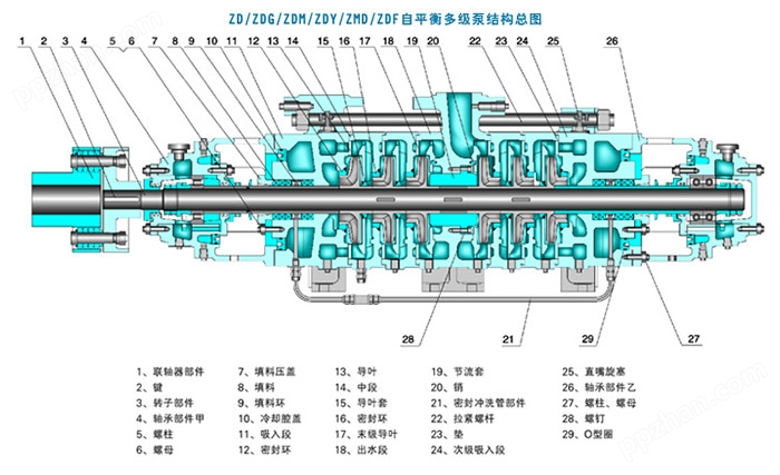 ZDY46-80自平衡多级油泵结构图