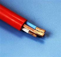 DHTFGRX 氟塑料绝缘硅橡胶护套软特种电缆